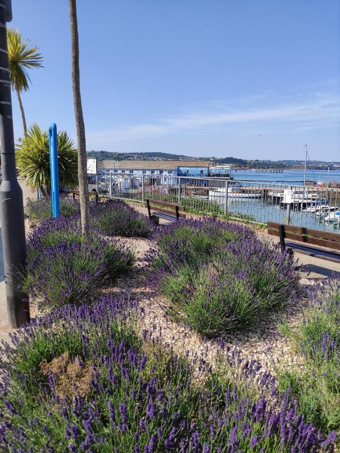 Cleve Court Hotel Paignton Buitenkant foto